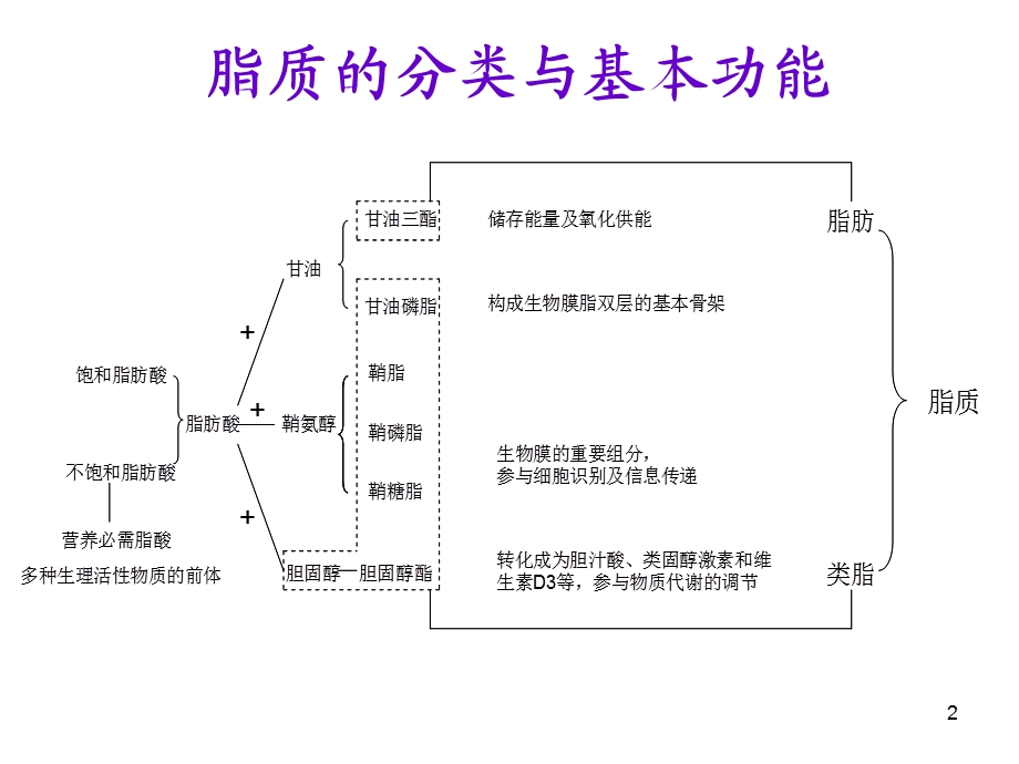 脂质代谢紊乱课件.ppt_第2页