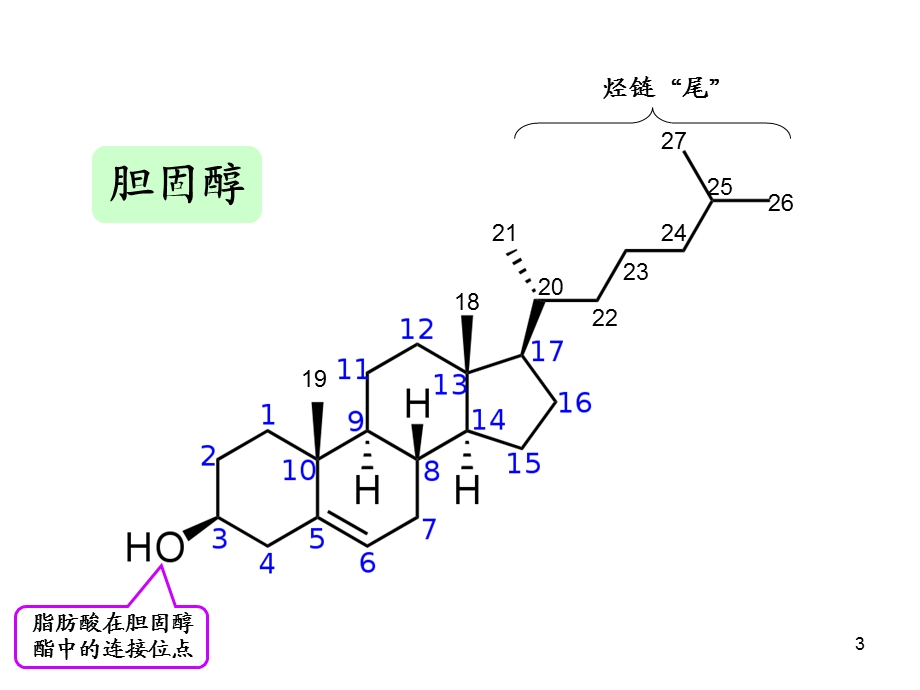 脂质代谢紊乱课件.ppt_第3页