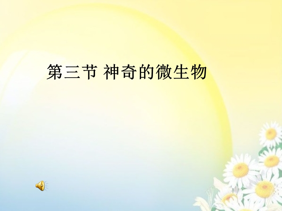 我们生活中的细菌 课件.ppt_第1页