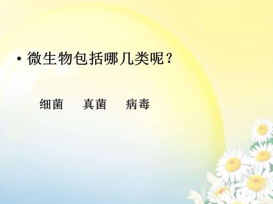 我们生活中的细菌 课件.ppt_第2页