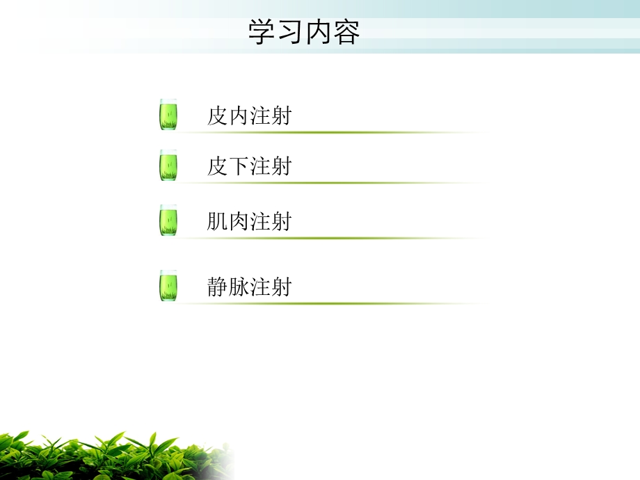 注射术课件.ppt_第2页