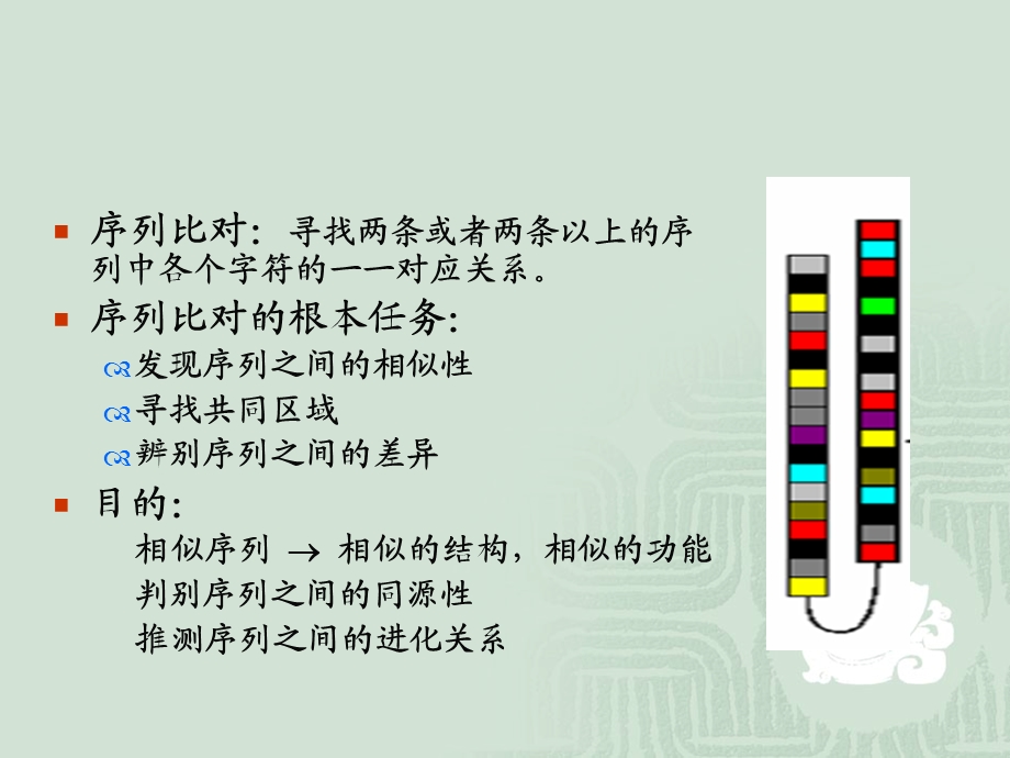 生物信息学基础 第三章课件.ppt_第2页