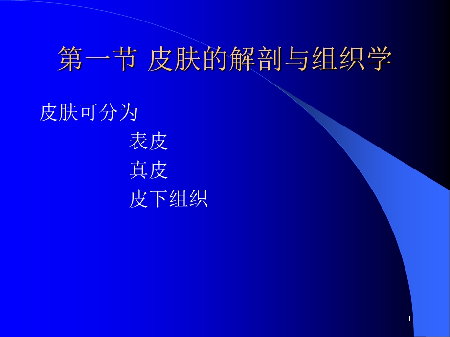 皮肤可分为表皮真皮皮下组织课件.ppt_第1页