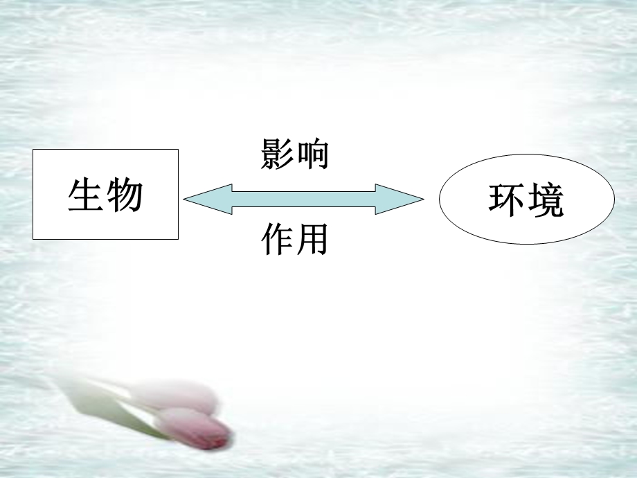 生物对环境的适应课件.ppt_第2页