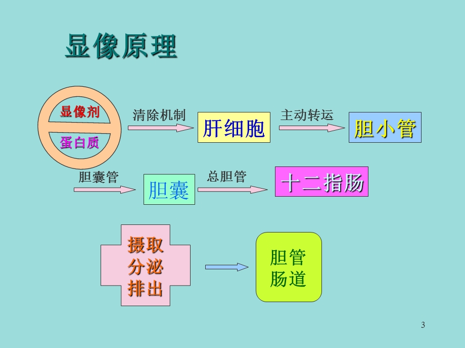 肝胆动态显像课件.ppt_第3页