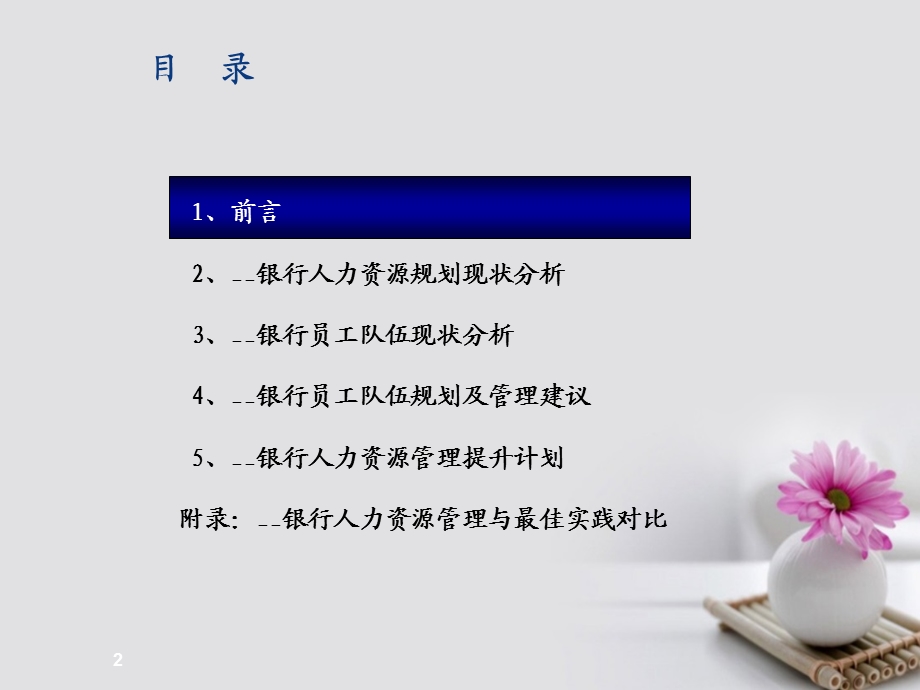 银行人力资源规划方案课件.ppt_第2页