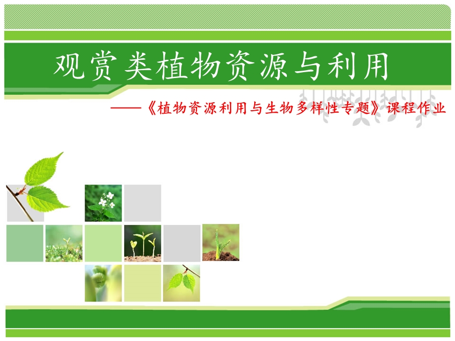 观赏类植物资源与利用课件.ppt_第1页