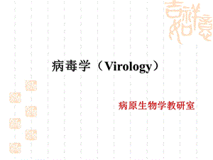 病毒学课件.ppt