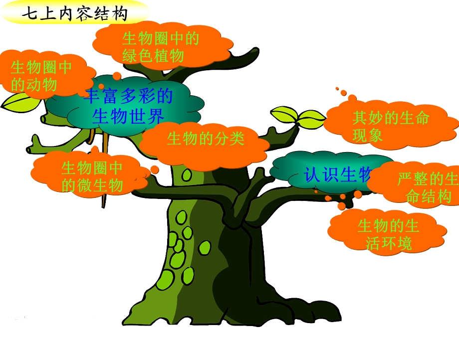 初中生物识图(总)课件.ppt_第2页