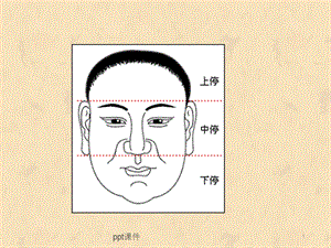 面相学之鼻相课件.ppt