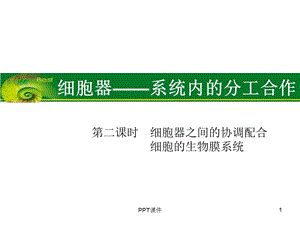 必修1 3 2 细胞器之间的协调配合.ppt