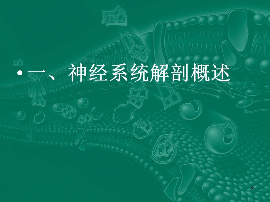 神经外科诊疗课件.ppt_第2页