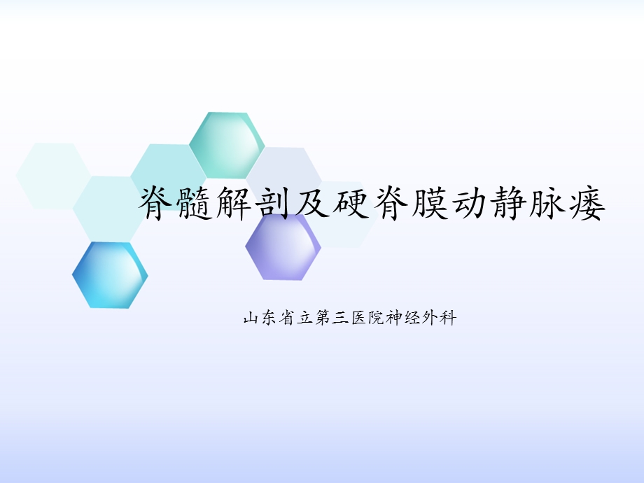 脊髓解剖及硬脊膜动静脉瘘课件.ppt_第1页