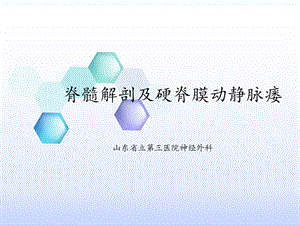 脊髓解剖及硬脊膜动静脉瘘课件.ppt