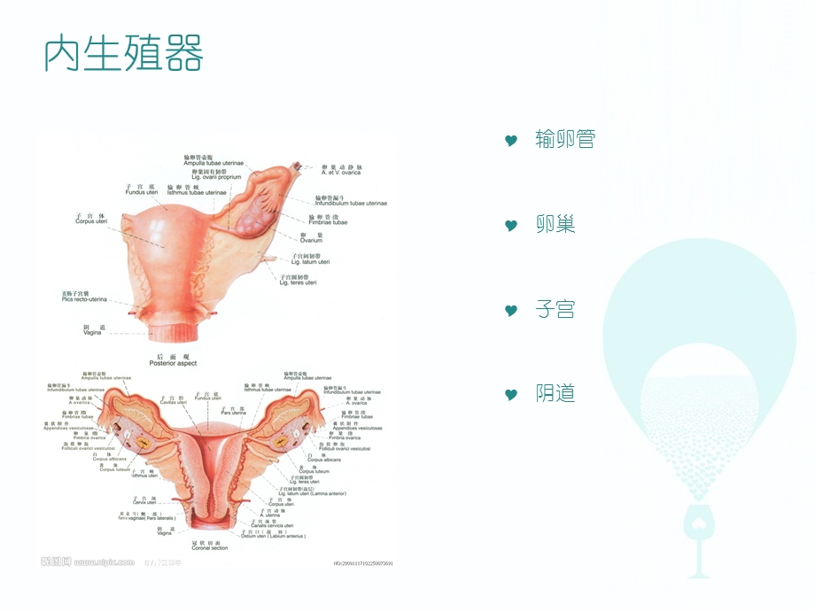 妇科炎症病人的健康教育【妇产科】课件.ppt_第3页