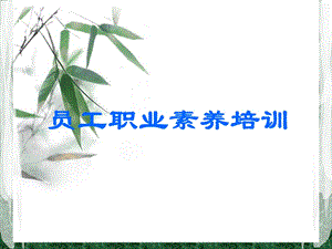 公司员工职业素养培训经典版课件.ppt