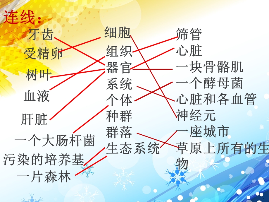 细胞的多样性和统一性 (显微镜的使用)课件.ppt_第3页