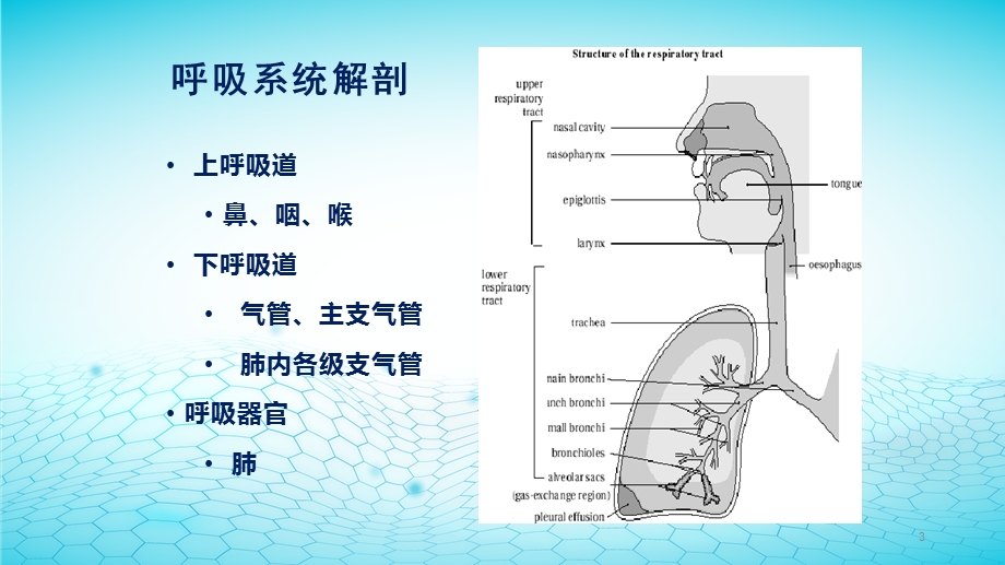 人工气道的建立课件.ppt_第3页