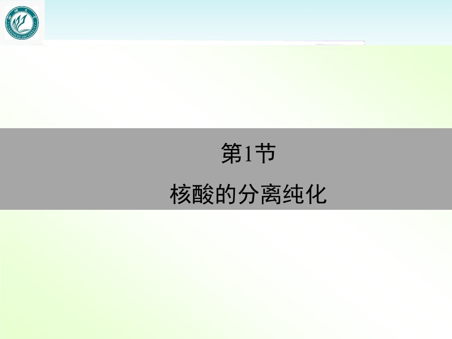 核酸检测技术课件.ppt_第3页