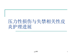 压力性损伤与失禁相关性皮炎课件.ppt