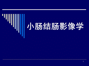 小肠及结肠疾病课件PPT课件.ppt