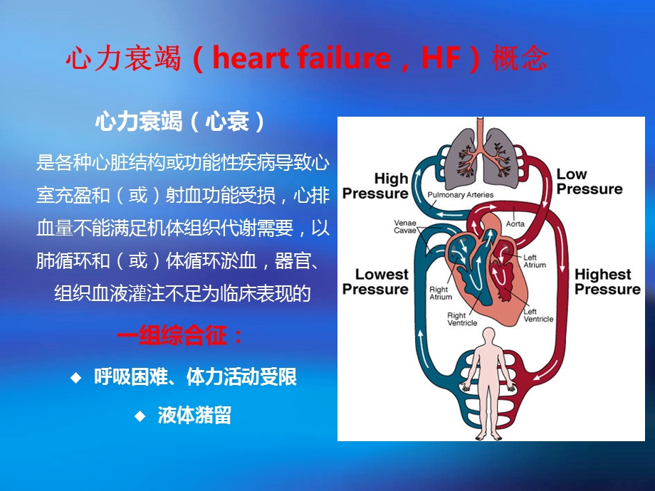 心力衰竭培训ppt课件.pptx_第3页