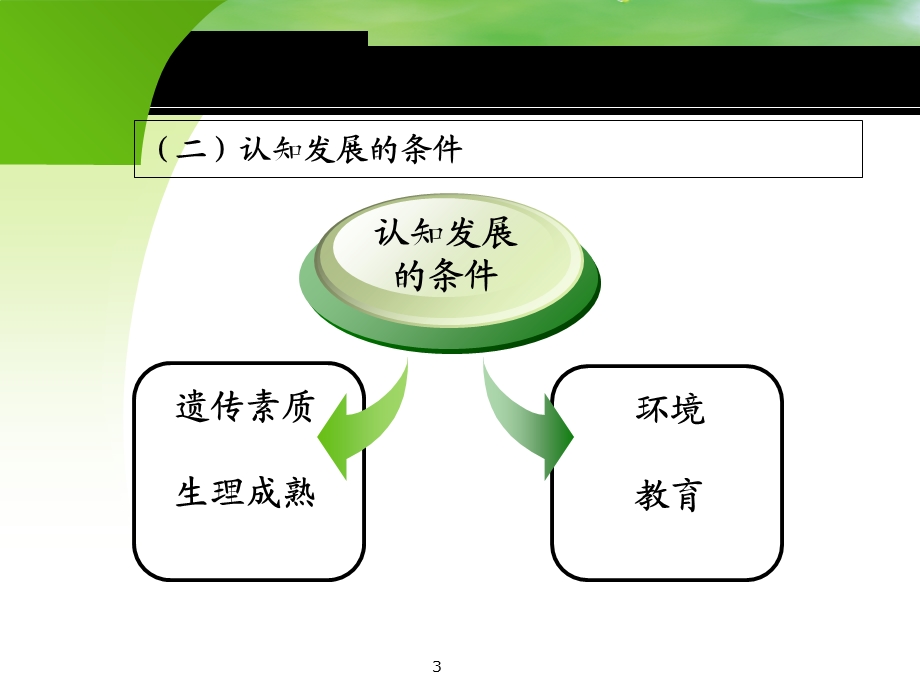 第十章影响学习的认知与人格因素课件.ppt_第3页