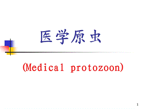 医学原虫课件.ppt