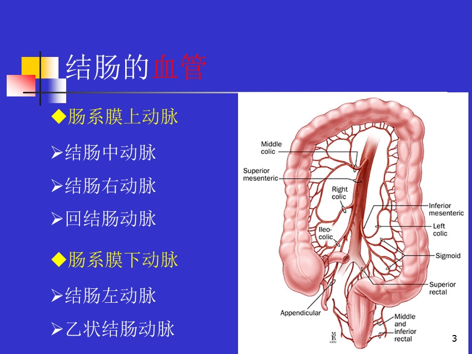 结直肠肛管疾病课件.ppt_第3页