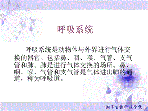 呼吸系统呼吸系统课件.ppt