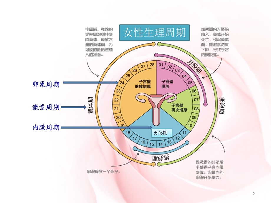 大姨妈有话说课件.ppt_第2页