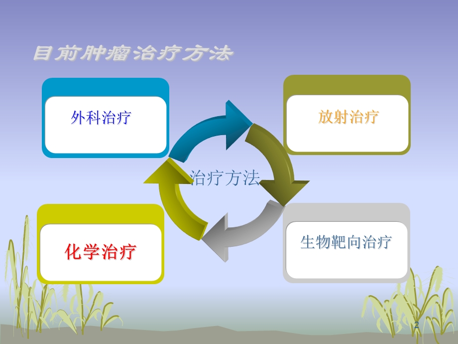 化疗药物的护理要点课件.ppt_第2页