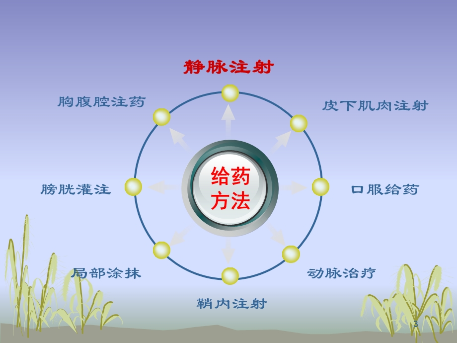 化疗药物的护理要点课件.ppt_第3页