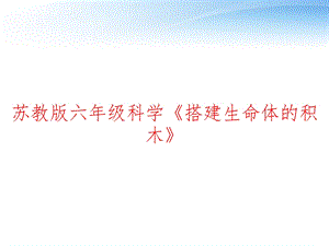 苏教版六年级科学《搭建生命体的积木》 课件.ppt