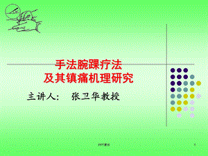 手法腕踝针及镇痛机理研究课件.ppt