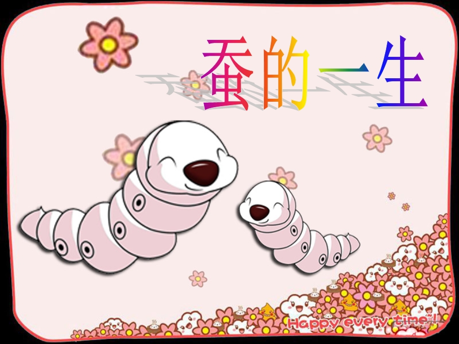 蚕的一生 课件.ppt_第1页