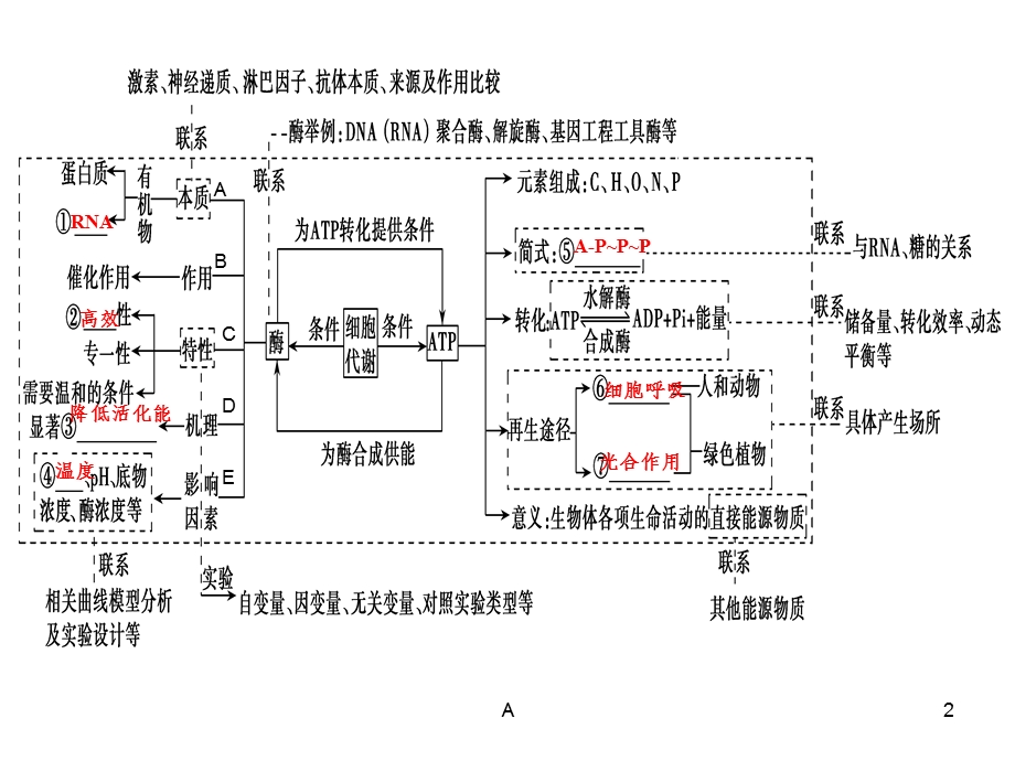 酶与ATP二轮复习课件.ppt_第2页