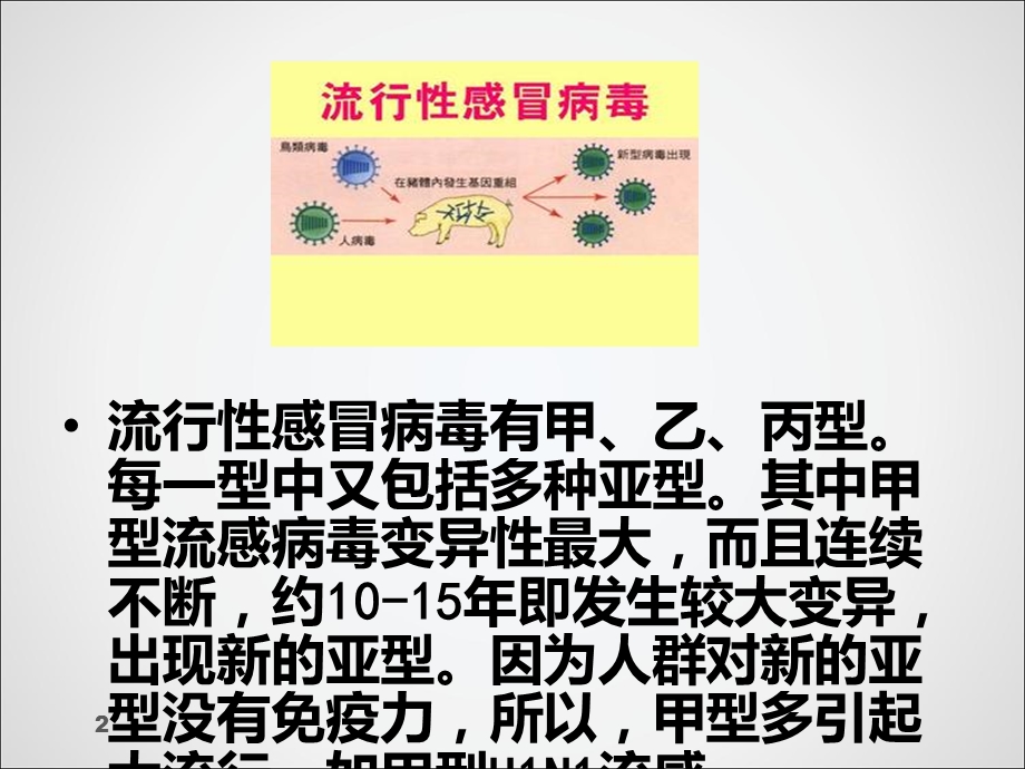 夏季常见疾病的预防课件.ppt_第3页