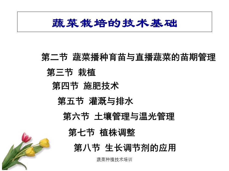 蔬菜种植技术培训 课件.ppt_第1页