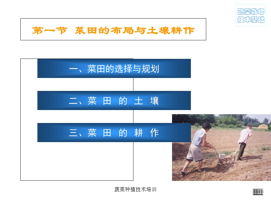 蔬菜种植技术培训 课件.ppt_第2页