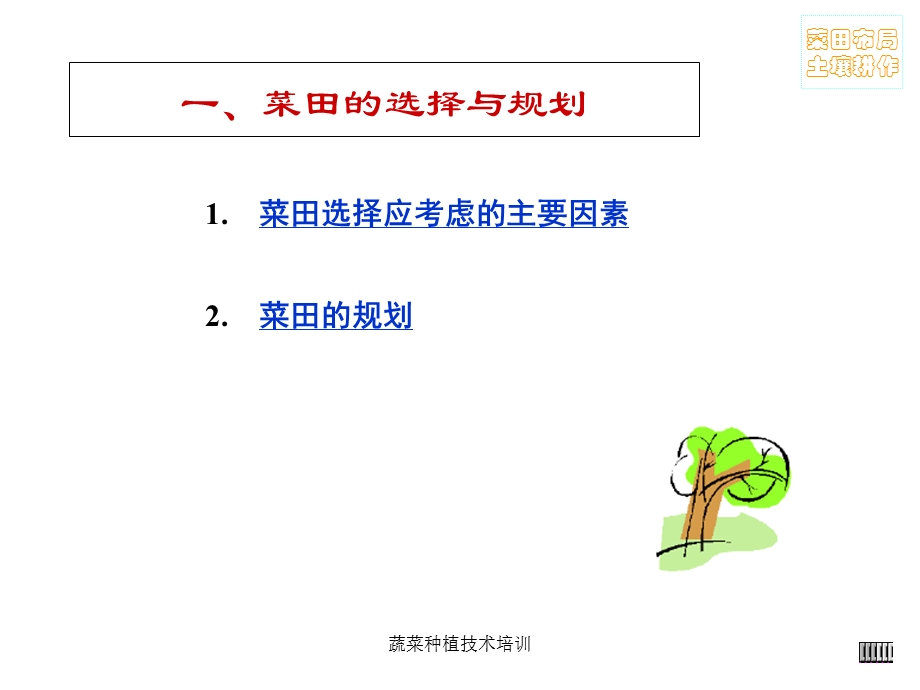 蔬菜种植技术培训 课件.ppt_第3页