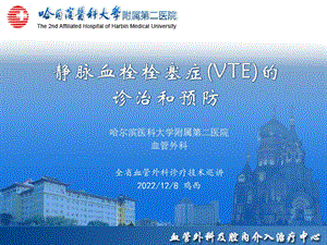 静脉血栓栓塞（VTE）诊断治疗和预防课件.ppt