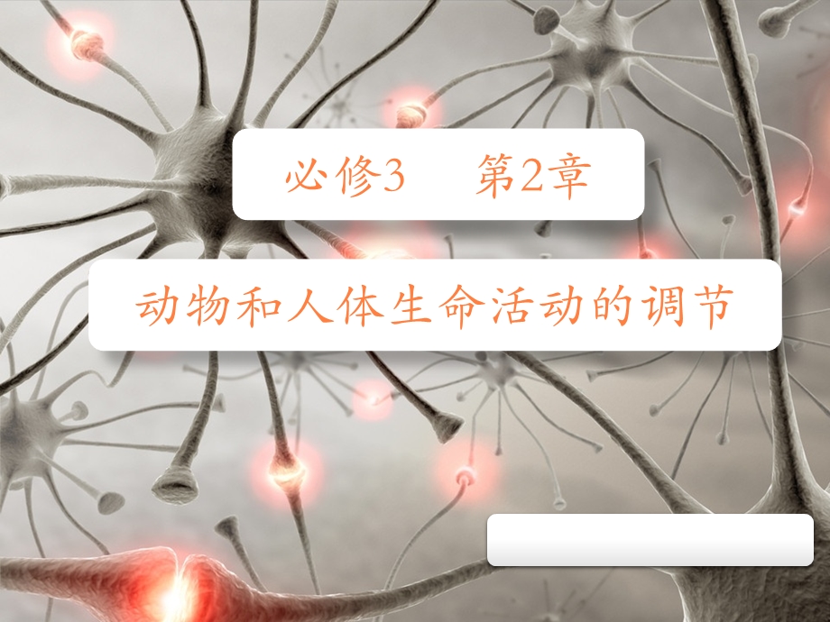 神经调节用课件.ppt_第1页