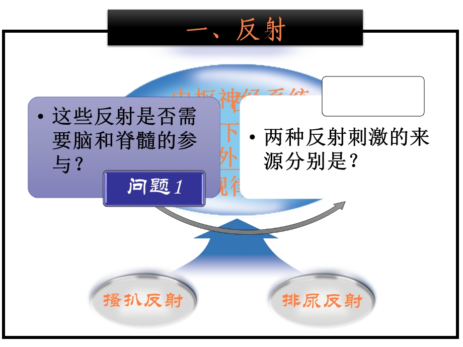 神经调节用课件.ppt_第3页