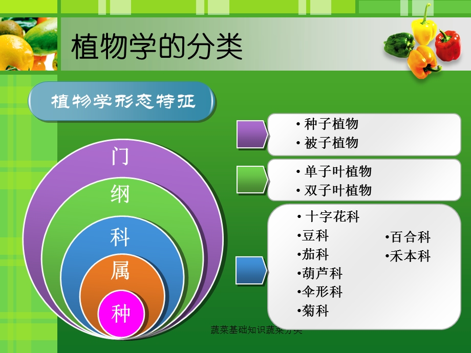 蔬菜基础知识蔬菜分类 课件.ppt_第3页