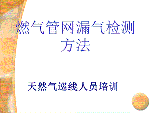 燃气管网漏气检测方法课件.ppt