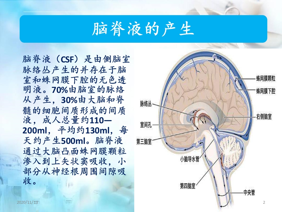 腰大池引流的护理 课件.pptx_第2页