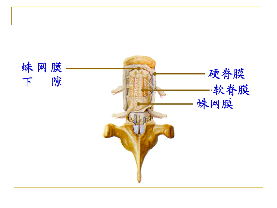 颅脑引流管 课件.ppt_第3页