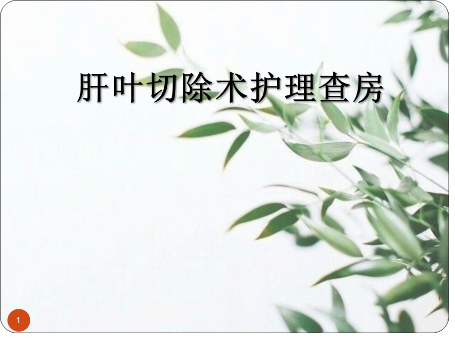 肝叶切除术护理查房课件.ppt_第1页