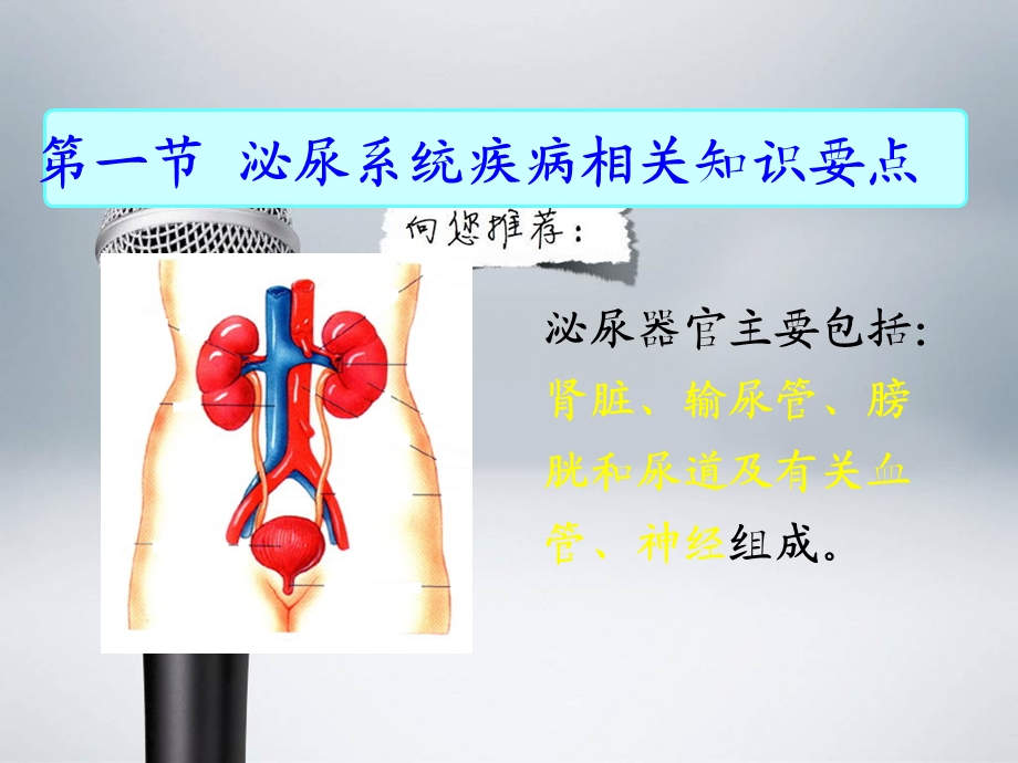 泌尿系统疾病常见症状体征的护理课件.ppt_第2页